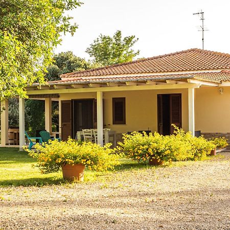 Bed and Breakfast The Vineyards Alguer Exterior foto