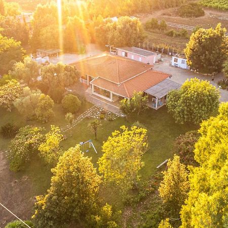 Bed and Breakfast The Vineyards Alguer Exterior foto