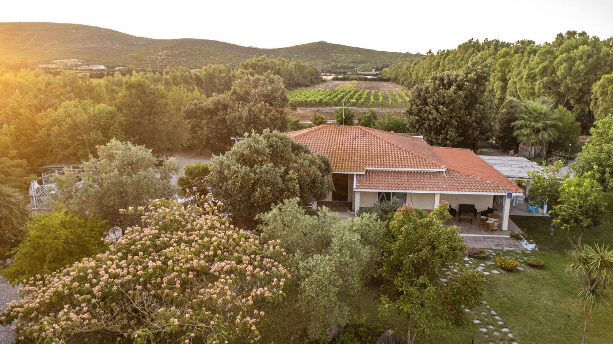 Bed and Breakfast The Vineyards Alguer Exterior foto