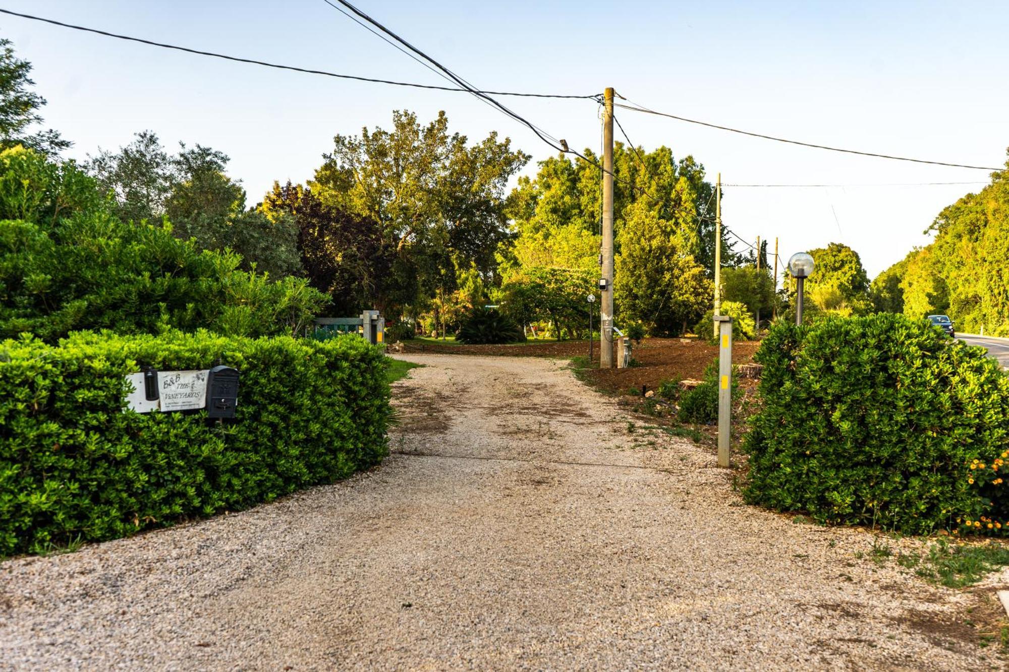 Bed and Breakfast The Vineyards Alguer Exterior foto